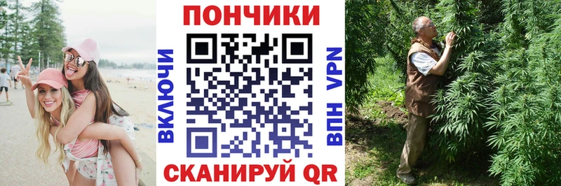 Бошки марихуана Ganja  закладки  гидра зеркало  Кыштым 